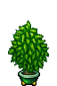 plant pot