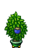 plant pot