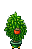 plant pot