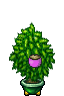 plant pot