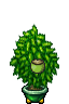 plant pot