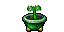 plant pot