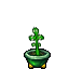 plant pot