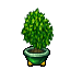plant pot