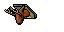 deer trophy