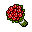 bouquet of red flowers