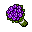 bouquet of violet flowers