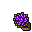 violet flowers