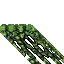 mossy wall