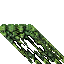 mossy wall