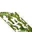 mossy wall