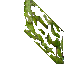 mossy wall