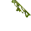 mossy wall