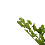 mossy wall