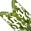 mossy wall