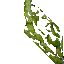 mossy wall
