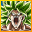 Broly V2 outfit