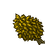 easter plant