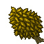 easter plant