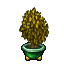 easter plant pot