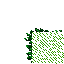 trampled special grass