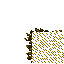 trampled special grass
