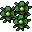 moon flowers