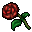 love flower