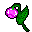 pink royal blossom