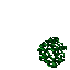 jungle grass