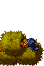Halloween Bush