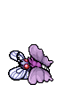 VenoFree Couple
