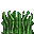 grass