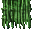 grass