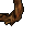 branch
