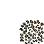 sugar cane