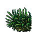 sugar cane