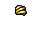 shells