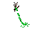 swamp source