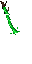 swamp source