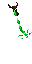 swamp source