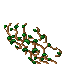 branches