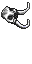 mammoth skull