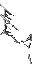 spider's web