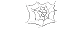 spider's web