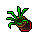 flower bowl