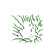 grass