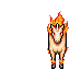 Rapidash