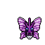 Venomoth