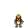 Pidgeot